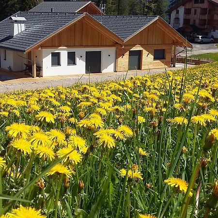 Chalet Soredl Antermoia Zewnętrze zdjęcie